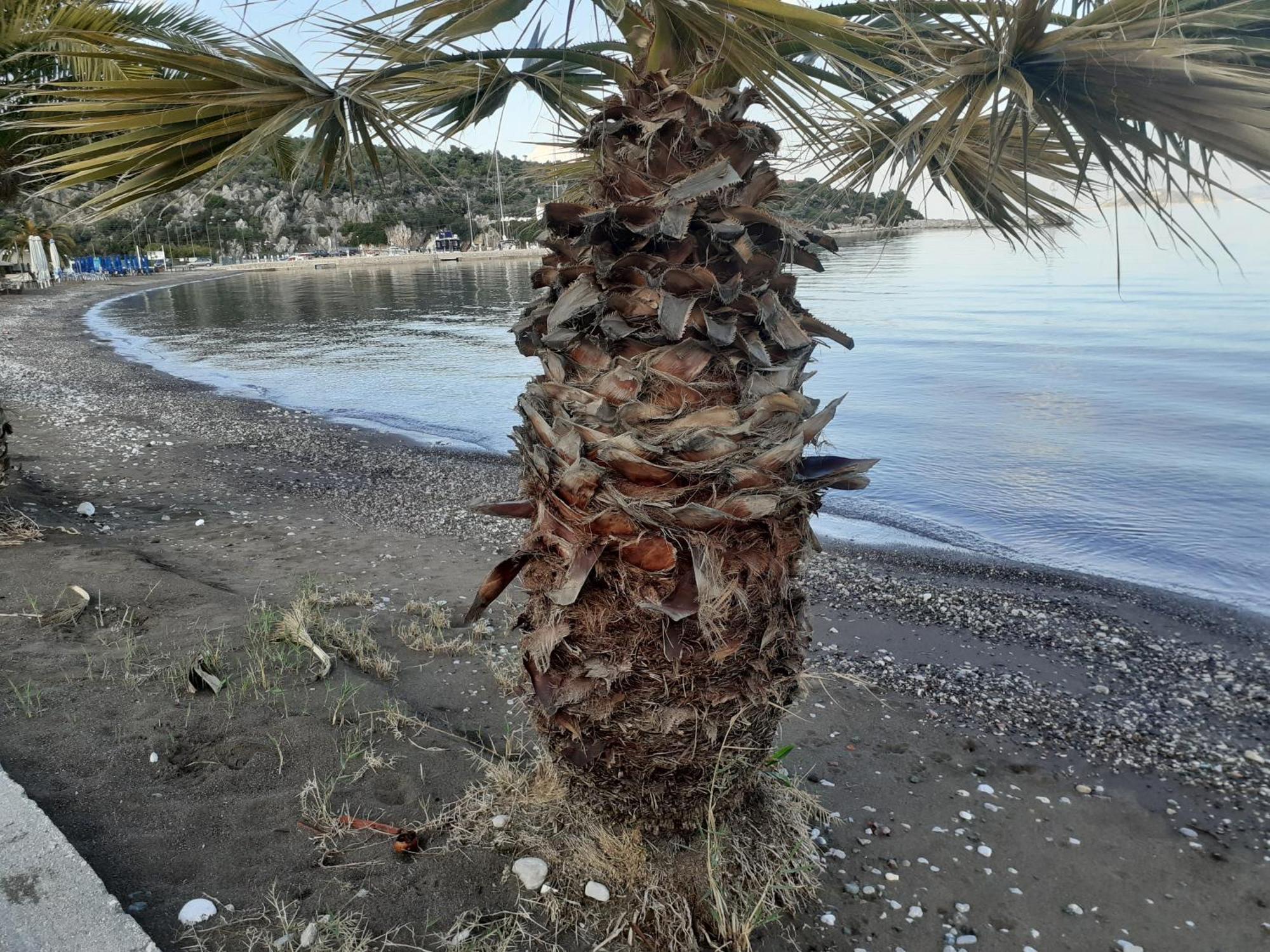 Ξενοδοχείο Αύρα Νέα Επίδαυρος Εξωτερικό φωτογραφία