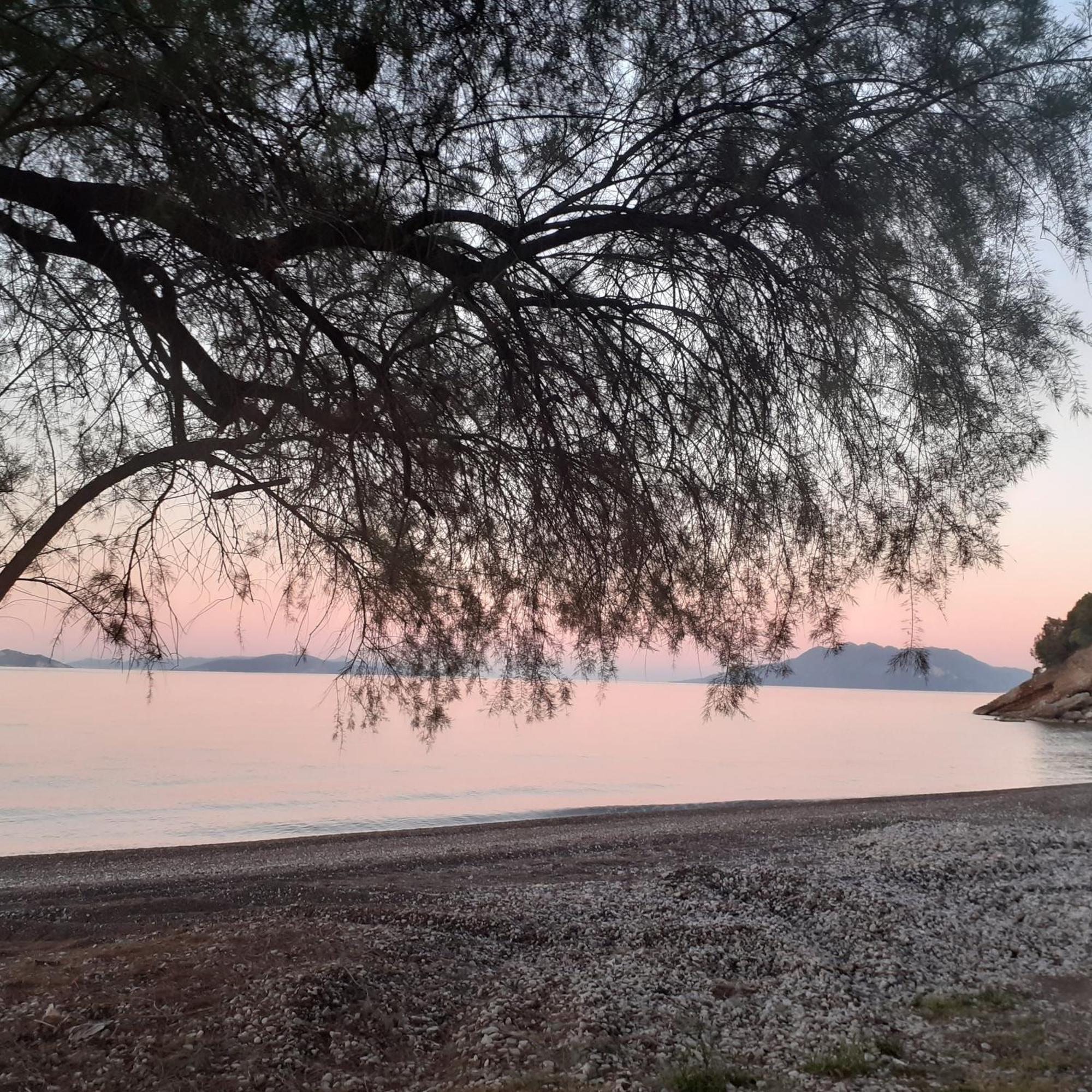 Ξενοδοχείο Αύρα Νέα Επίδαυρος Εξωτερικό φωτογραφία